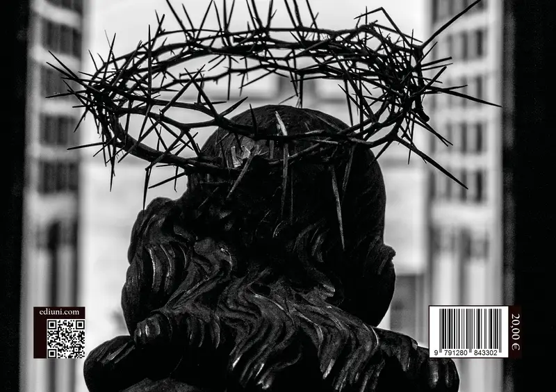 Anteprima quarta di copertina I misteri di Villanova